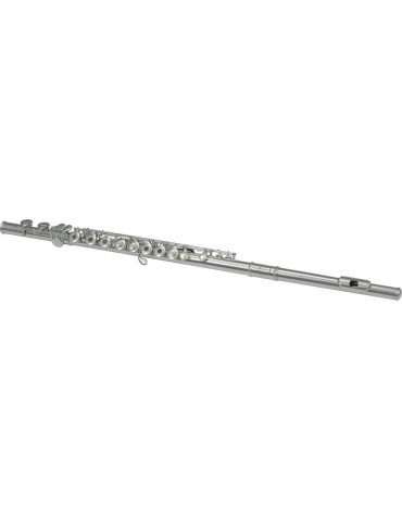 SML PARIS - VSM Fl300R...