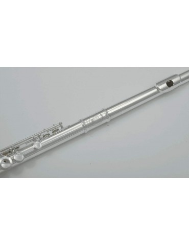 SML PARIS - VSM Fl300R...